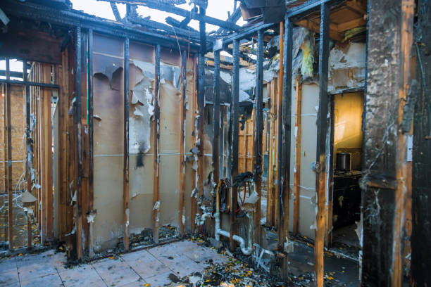 Professional Smoke Damage Removal technician working in Lewiston, CA